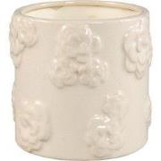 PTMD - Pot Filep - Wit - 16x16x15cm