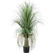 PTMD - Kunstplant Leaves - Groen - 74x70x101cm