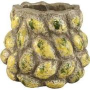 PTMD - Pot Fruitsy - Geel - 25.5x25.5x23cm