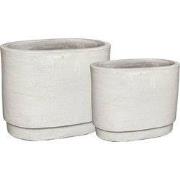 PTMD - Pot Rae - Wit - 48x32x38cm - Set van 2