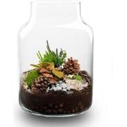 URBANJNGL - Frosty Kerstmis terrarium - Planten terrarium met kurk - D...