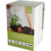 URBANJNGL - DIY Plant Terrarium Set 5L – Maak je eigen gesloten ecosys...