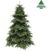 Nordmann kunstkerstboom deluxe abies groen h185 d135 cm