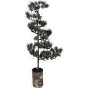 Clayre & Eef Mini Kunstkerstboom 28x28x80 cm / 3xAAA Groen Hout