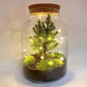 URBANJNGL - Milky Christmas - Plantenterrarium met kerstboom en verlic...