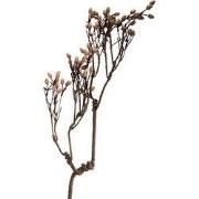 Clayre & Eef Decoratie Tak 30x4x85 cm Bruin Kunststof