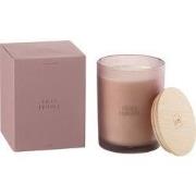 J-Line - Geurkaars Accords Essentiels Figue Frivole-52h - 10.5x10.5x14...