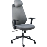 ORYN - Bureaustoel - Donkergrijs - Mesh