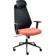 ORYN - Bureaustoel - Zwart/Rood - Mesh