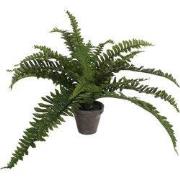 Mica Decorations Boston Varen Kunstplant in Bloempot Stan - H35 x Ø45 ...