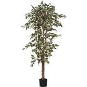 Mica Decorations Ficus Kunstplant - H180 x Ø90 cm - Groen Bont