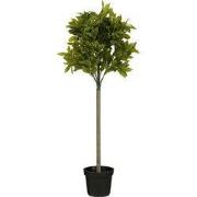 Mica Decorations Laurierboom Kunstplant - H120 x Ø40 cm - Groen