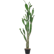 OPUNTIA CACTUS - Kunstplant - Groen - 150 cm - Kunststof