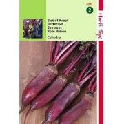 2 stuks - Bieten Cylindra, Halflange