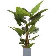 Allocasia groen 140 cm kunstplant Oosterik Home