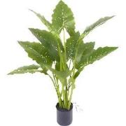 Allocasia groen 80 cm kunstplant Oosterik Home