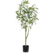 Eucalyptus plant h115cm groen