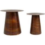 PTMD - Bijzettafel Edson - Bruin - 49x49x47cm - Set van 2