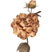 Clayre & Eef Kunstbloem 73 cm Bruin Kunststof