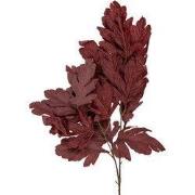 Clayre & Eef Kunstbloem 104 cm Rood Kunststof