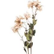 Clayre & Eef Kunstbloem 120 cm Beige Kunststof