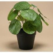 URBANJNGL - Pilea bush 25 cm in zwarte pot - Kunstplant