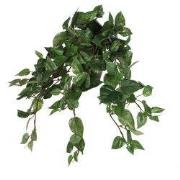 Mica Decorations Scindapsus Kunst Hangplant in Bloempot Stan - H45 x Ø...