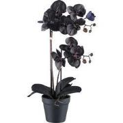 Kopu® Kunstplant Phalaenopsis orchidee - 10 Real Touch bloemen - zwart