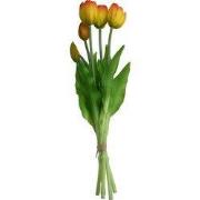 Boeket 5 Tulpen Geel/rood