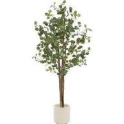 Kunstmatige eucalyptusboom 180 cm kunstplant met natuurlijke houten st...