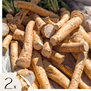 Mierik - Set van 2 - Armoracia rusticana - Wortelstokken - Groen