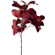 Berkenblad rood bruin 120 cm