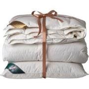 Ten Cate 90% Ganzendonzen 4 seizoenen dekbed 140x200 + 1 eendenveren h...