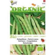 3 stuks - Organic Stokspekboon Neckarkonigin (BIO)