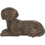 Dog liggend Lina S bruin