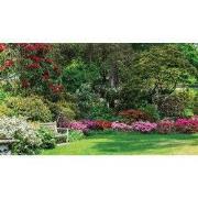 Bloementuin 130x70cm Tuinschilderij