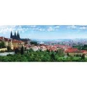 Praag 130x50cm Tuinschilderij