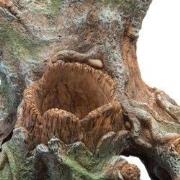 Sf scapers wood planty l