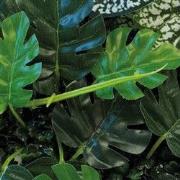 Repto Aquadistri plant achterwand mat 25x25 cm 3