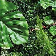 Repto Aquadistri plant achterwand mat 40-60 cm 2