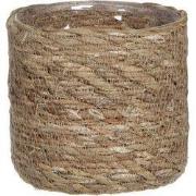 Atlantic mand l.bruin h12xd12cm