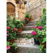 Tuinschilderij trap 70x50cm bruin