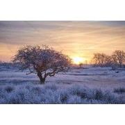 Tuinschilderij winter wnderl 130x70