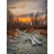 Tuinschilderij winter sunset 70x50