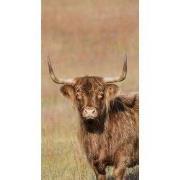 Tuinschilderij hoogl rechts 130x70