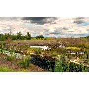 Tuinschilderij drenthe 70x50cm