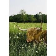 Tuinschilderij hoogl veld 70x50