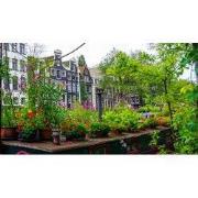 Tuinschilderij bloemen boot 130x70