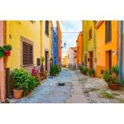 Tuinschilderij old town 130x70cm