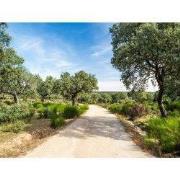 Tuinschilderij oude eiken 130x70cm